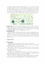 지구의 기후변화에 대하여-4