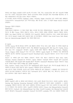이탈리아 음식의 기원 및 특징-3