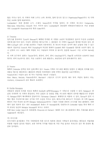 이탈리아 음식의 기원 및 특징-4