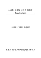 [소비자행동과 브랜드마케팅] 디지털카메라 구매과정-1
