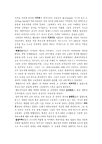 징기스칸 레포트-2