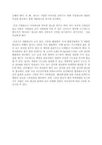 [마케팅] 패션양말 `인따르시아` 마케팅전략 분석-11