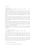 인터넷의 개념 레포트-2