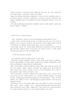인터넷의 개념 레포트-3