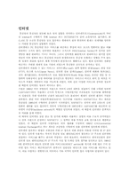 인터넷의 정의 레포트-4