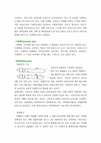 트랜싯 레포트-4
