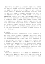 [독서감상문]소설 백경 독후감-5