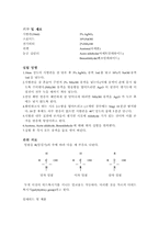 [실험]은거울 반응 실험-2