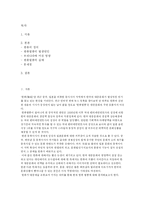 한류열풍의 원인과 실태-2