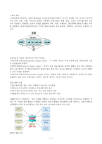 [정보시스템] 확장형 SCM ERP통합,E-Business Cisco Systems(시스코 시스템)-3