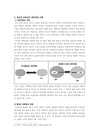 [북한연구] 북한의 협상전략 양면게임이론 적용-4