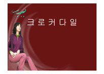 [광고론] 형지어패럴 여성 크로커 다일 광고분석 및 평가-1