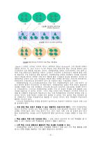 [교육공학] 협동학습-12
