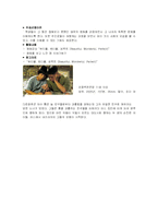 사회과 교과재량활동-15