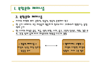 [여성학]복합문화페미니즘과 흑인페미니즘의 이해-3