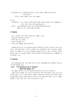 [글로벌마케팅] 도요타 국제마케팅 사례-17