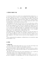 [국제마케팅] 표준화와 차별화, 현지화-1