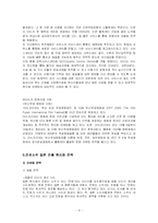 [국제마케팅] 표준화와 차별화, 현지화-6