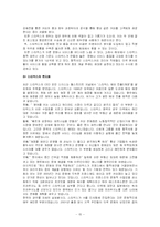 [국제마케팅] 표준화와 차별화, 현지화-15