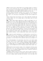[국제마케팅] 표준화와 차별화, 현지화-17
