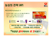[국제마케팅] 농심 신라면 기업경영전략-17