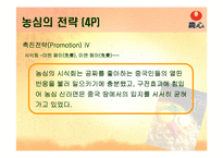 [국제마케팅] 농심 신라면 기업경영전략-19