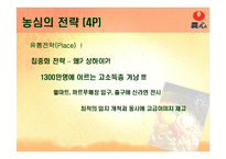 [국제마케팅] 농심 신라면 기업경영전략-20