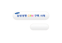 [경영정보시스템] 삼성생명 CRM 구축사례-1