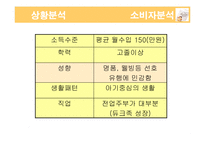 [광고기획서] 매일유업 앱솔루트의 광고 커뮤니케이션 전략서-13