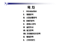 [광고기획안] 게임전문채널 온게임넷(ONGAMENET)의 광고전략-2