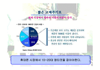 [광고기획안] 광고기획서 애니콜-8
