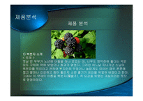 [광고기획안] 보해복분자주 광고기획서-11