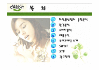 [광고기획안] 뷰티크레딧 광고기획서-2
