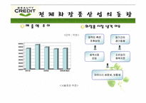 [광고기획안] 뷰티크레딧 광고기획서-4