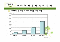[광고기획안] 뷰티크레딧 광고기획서-5