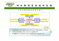 [광고기획안] 뷰티크레딧 광고기획서-6
