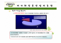 [광고기획안] 뷰티크레딧 광고기획서-7