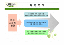 [광고기획안] 뷰티크레딧 광고기획서-9