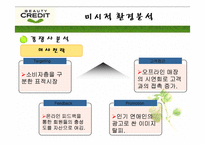 [광고기획안] 뷰티크레딧 광고기획서-10