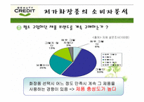 [광고기획안] 뷰티크레딧 광고기획서-14