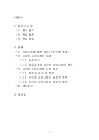 [사이버윤리] 사이버 쇼비니즘에 대한 연구-2
