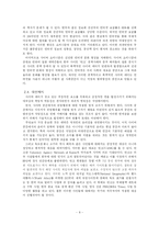 [사이버윤리] 사이버 쇼비니즘에 대한 연구-8