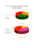 [사이버윤리] 사이버 쇼비니즘에 대한 연구-17
