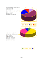 [사이버윤리] 사이버 쇼비니즘에 대한 연구-18