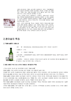 [마케팅] 참이슬 마케팅전략-3