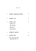 [서비스마케팅] 싸이월드는 왜 성공했을까-2