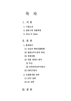 [국제마케팅] 진로의 신제품개발전략-2