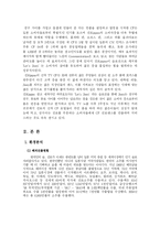 [국제마케팅] 진로의 신제품개발전략-7