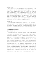 [국제마케팅] 진로의 신제품개발전략-13