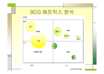[국제마케팅] SM 엔터테인먼트 보아와 동방신기-5